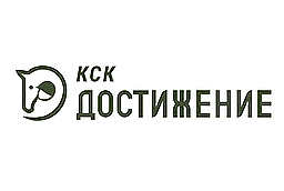 Леди года. Партнер Проекта 9